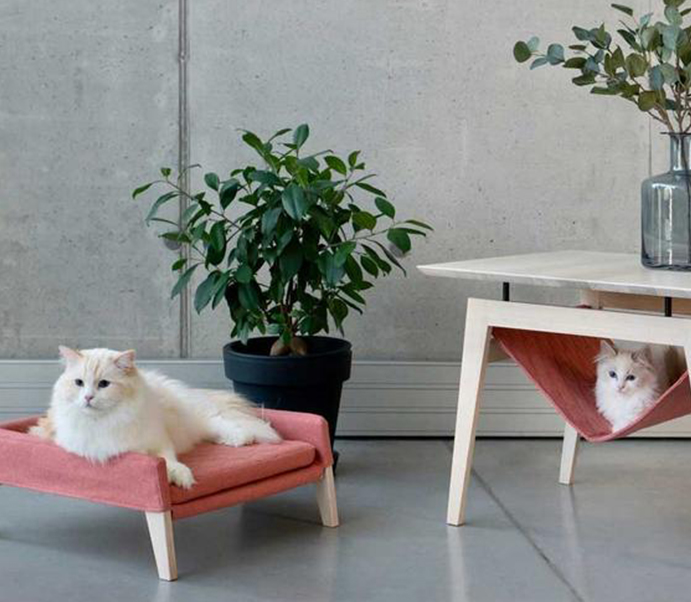 Explorando las tendencias en los muebles de mascotas: lo que ofrecen los proveedores de sofá de mascotas este año